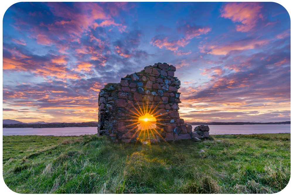 Announcing the 2025 Free Verse Editions