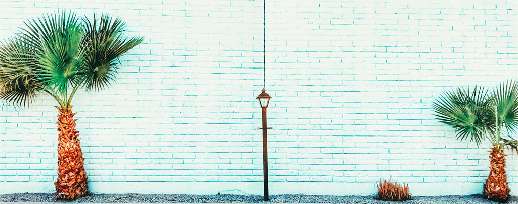 Writing Program Administration