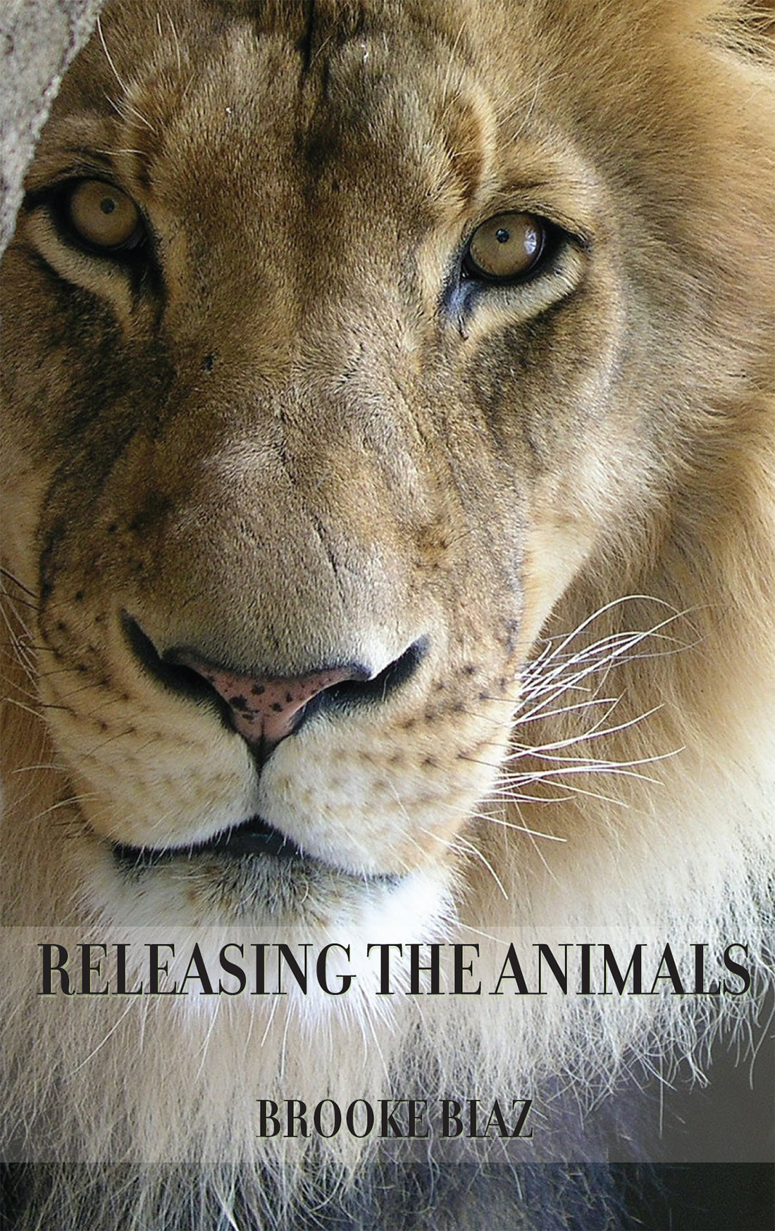 Releasing the Animals