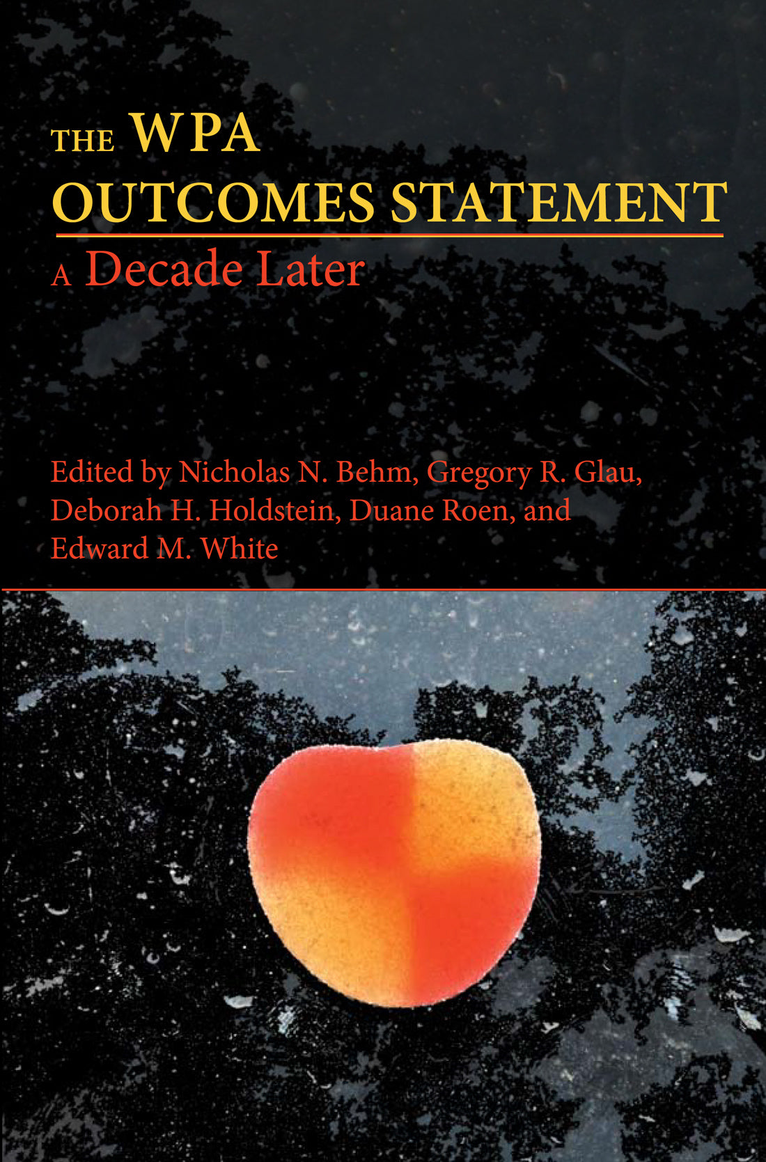 The WPA Outcomes Statement—A Decade Later