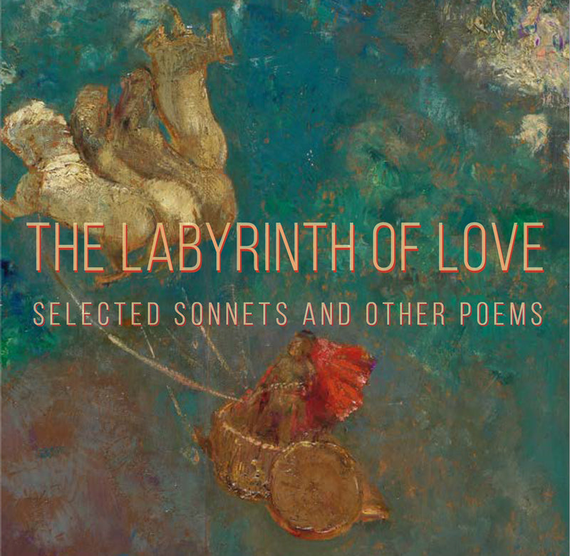 Labyrinth of Love cover