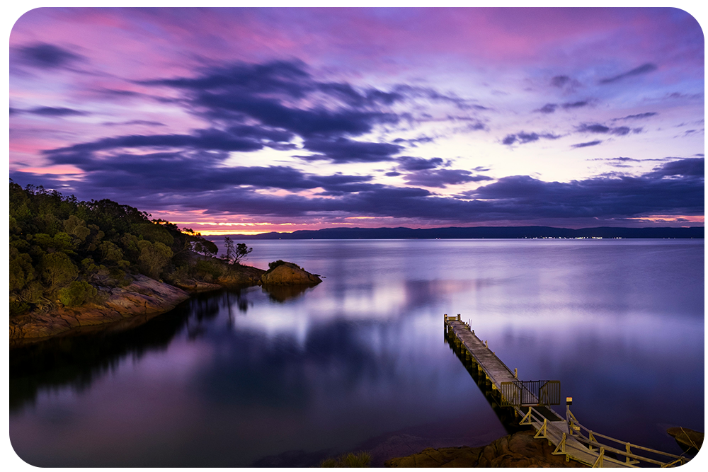 Announcing the 2024 Free Verse Editions