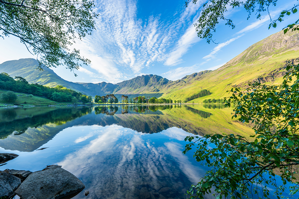 Announcing the 2026 Free Verse Editions