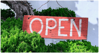 Open Access Books