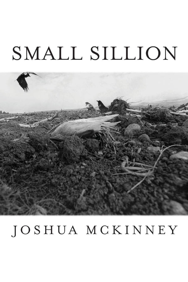 Small Sillion